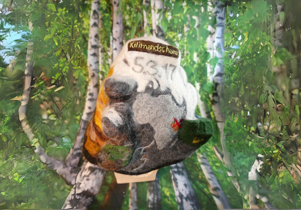 Kilimanjaro 3